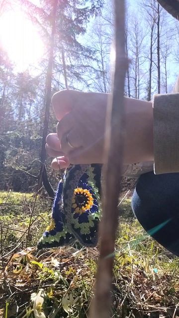 Прогулка в лесу