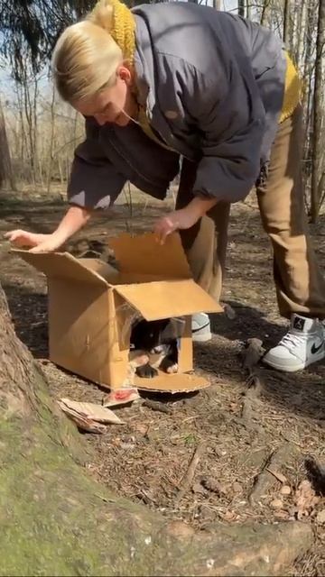 Клип @meowtaverse