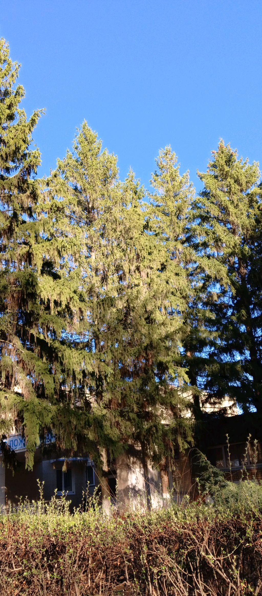 стрим!) заходите я вас жду ⏰!