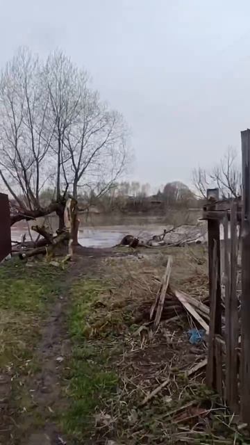 2_5408954599946099227