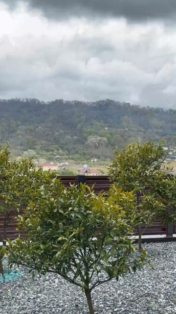 Купить Дом в Адлере с бассейном