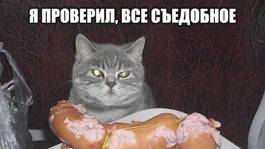 Общаемся плюс ответ