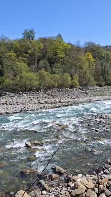 что происходит в Сочи?🤔