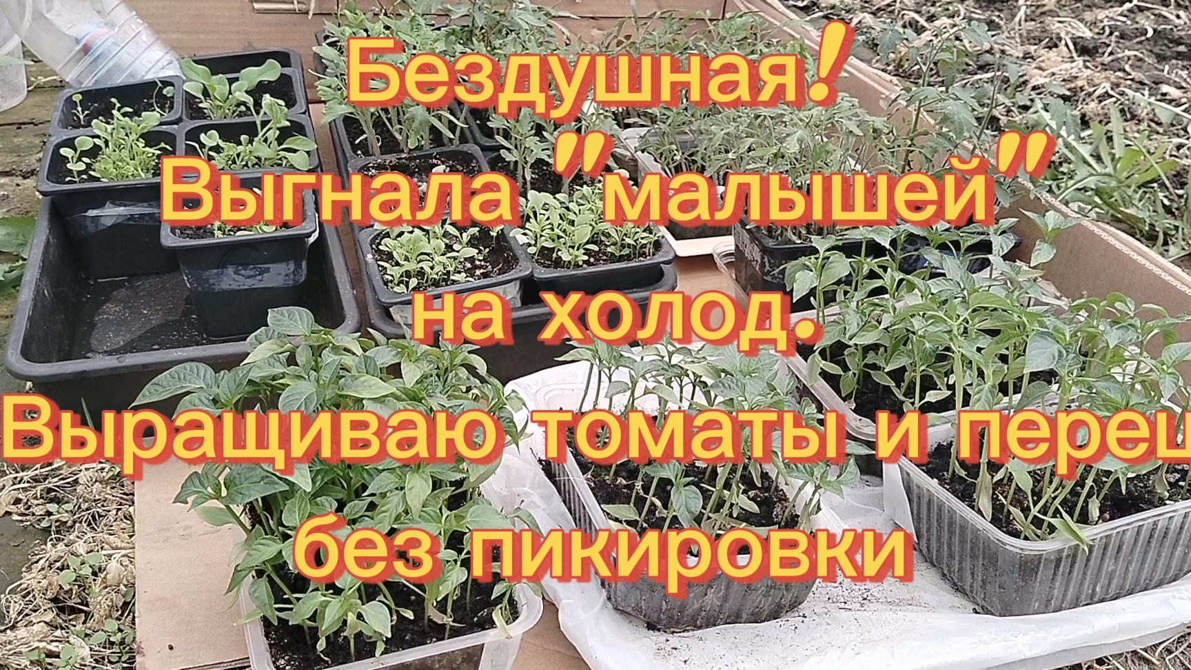 БЕЗДУШНАЯ! ВЫГНАЛА 