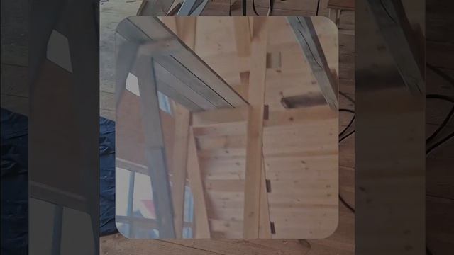 1000056289.mp4 (Собака наблюдает за устройством лестницы на 2-ой этаж в доме А-фрейм)