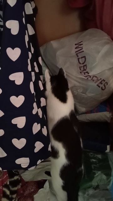 Когда очень любопытная