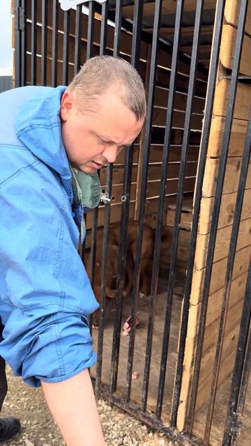 Доставщик еды Роман к хвостатым услугам