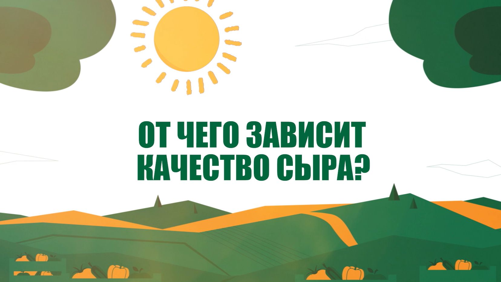 От чего зависит качество сыра