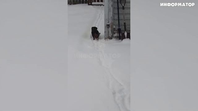 Сегодня Новости 17.04.2026 - Россия, Москва, ЧП, Катаклизмы, События Дня, Таиланд Индия США Европа