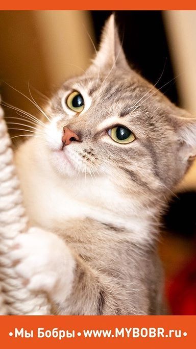 Каждое утро в нашем заведении начинается одинаково❤