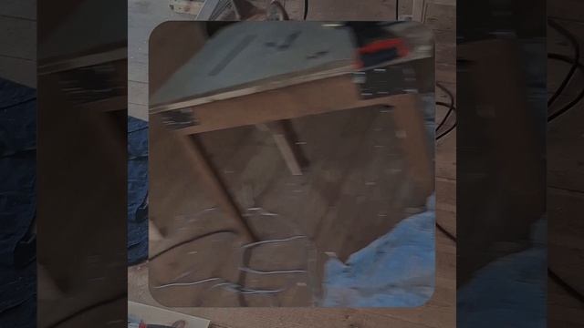 1000056291.mp4 (Собака наблюдает за устройством лестницы на 2-ой этаж в доме А-фрейм)