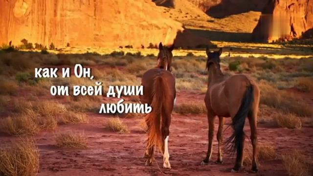 День надежды - Караоке