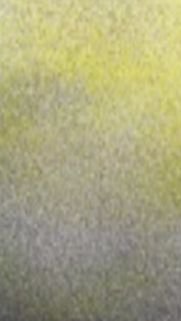 Ахаххахахахаах ЧТО ЭТО?