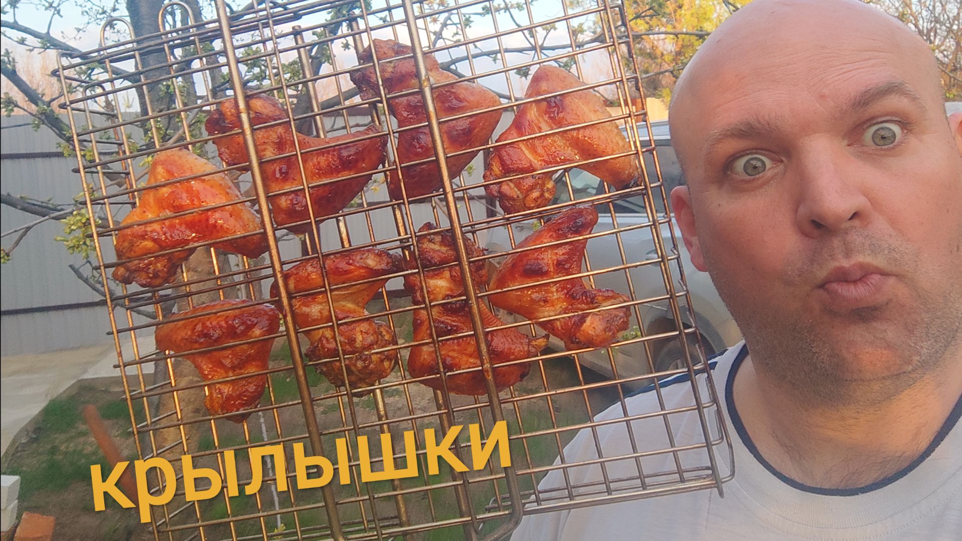 МУКБАНГ КРЫЛЫШКИ на углях/ОБЖОР на даче