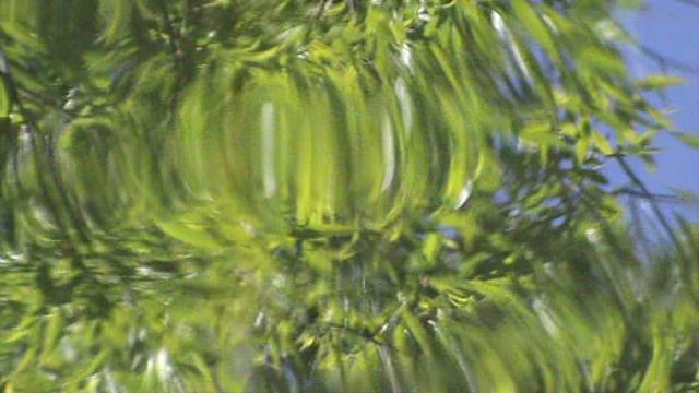 ПРОСТО ВОДА...  А КАК МНОГО в ней отражается...