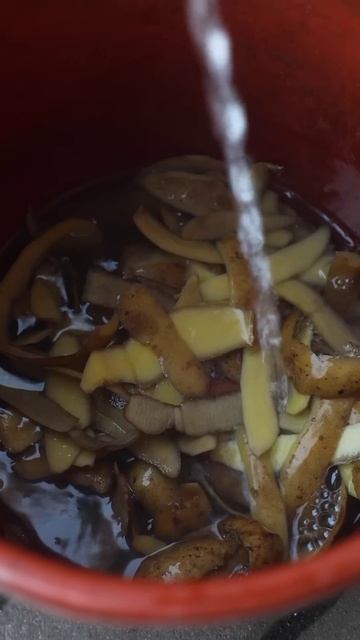 Никогда не выбрасываю очистки! От них кусты ломятся от ягод, а деревья усыпаны плодами!