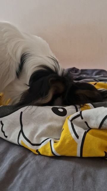 Милкa на раскопках🤣