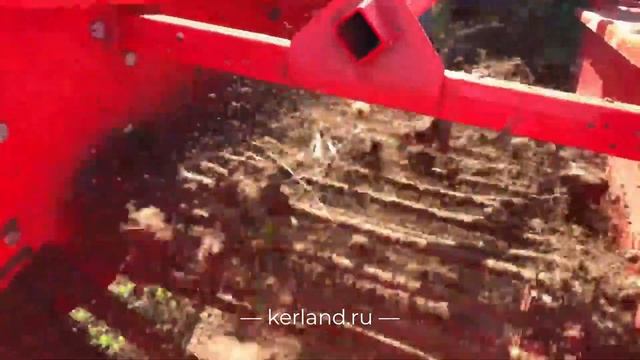 Картофелекопалка Kerland KT-1 в работе с трактором Shifeng SF-244С