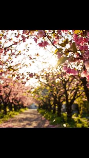 #лепестки #цветы #красота #горы #фотография #природа