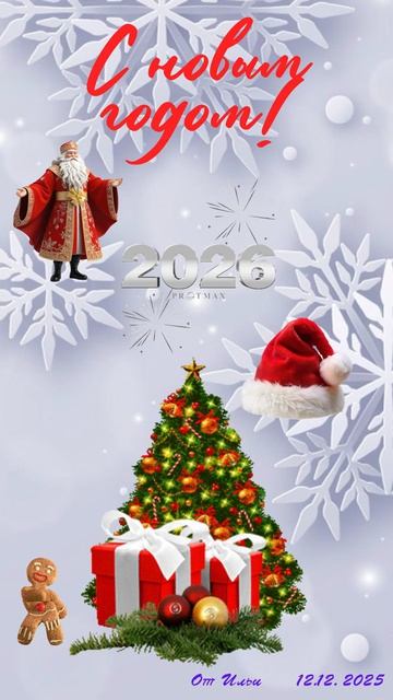 Илья Ж. новый год