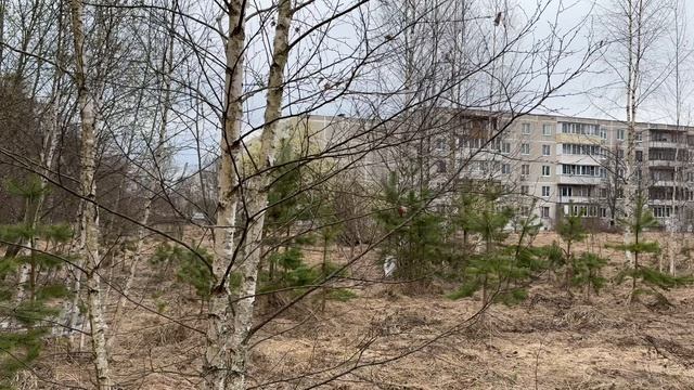 Хорлово, ул. Озерная