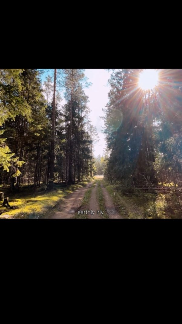 Неужели потерялись? #земнойирий #природа #лес #лесноеприключение
