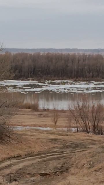 Весенний ледоход на Иртыше