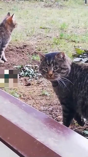 «Алкоголь, возможно, враг человека, но в Библии сказано: возлюби врага своего» Фрэнк Синатра