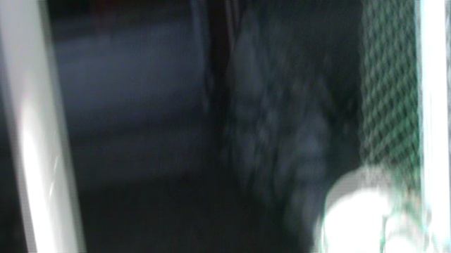 24)Б ПАРК ПОБЕДЫ ЗООПАРК