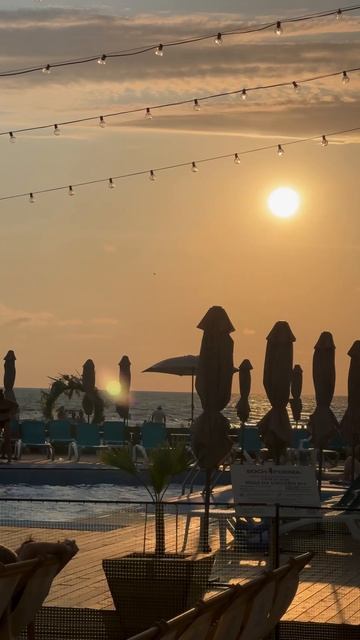 585a3be8135e3a18628d61f59be38536