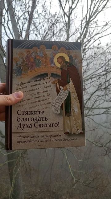 Автор: Ю.В.Романец  Книга: 