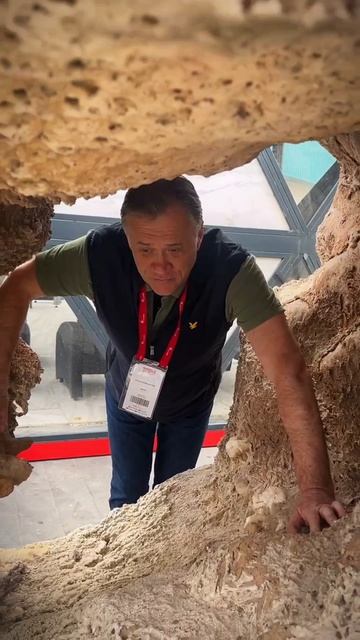 Выставка в Турции Izmir