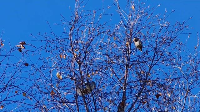 Утренний релакс