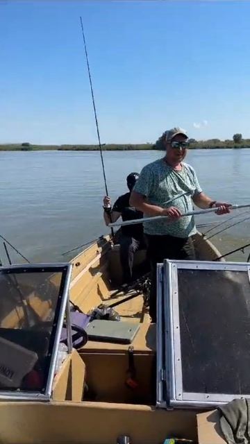 рыбалка в Астрахани на сазана