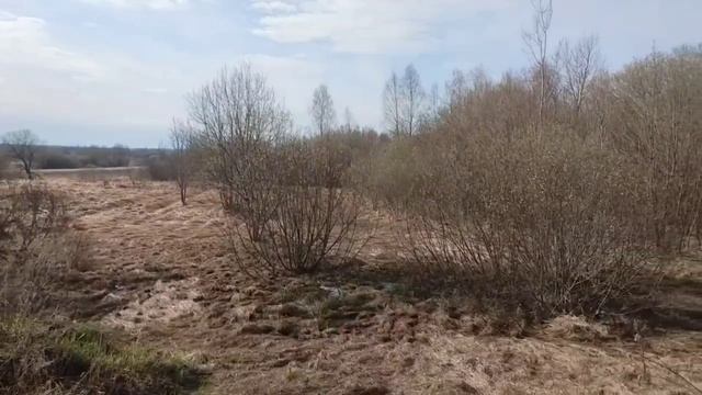 п. Лесное 50:18:0070305:644