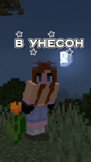 У меня новый скин! Как вам? :﹥