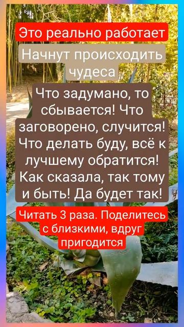 Шепоток на лучшую жизнь
