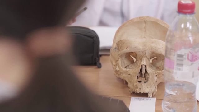 Малая медицинская академия Барнаул АГМУ