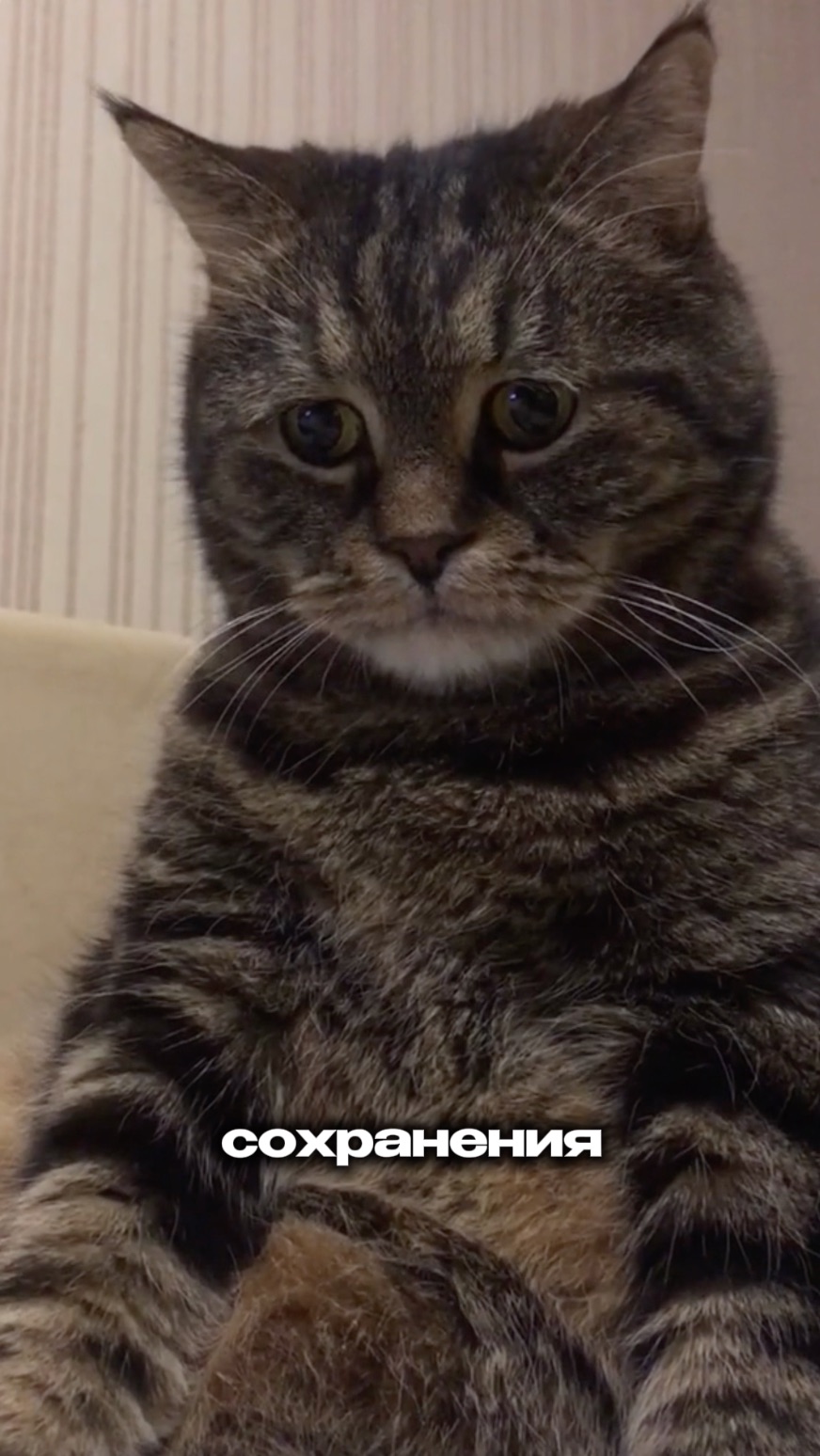 Что выбивает из колеи и кто возвращает обратно. Новое шоу «Планерка в недвижке» с Юрием Паршиковым.