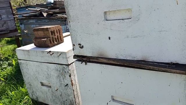 Как обстоят дела с заболевшей семьей.