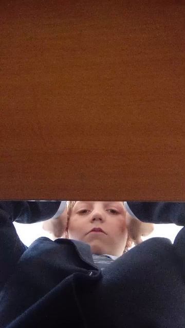 сидим на литературе