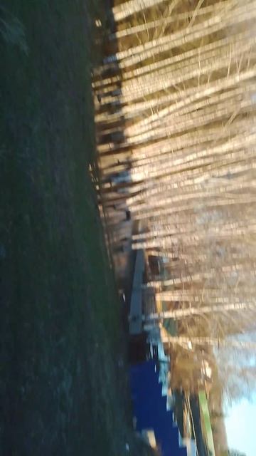 мы с другом на прогулке