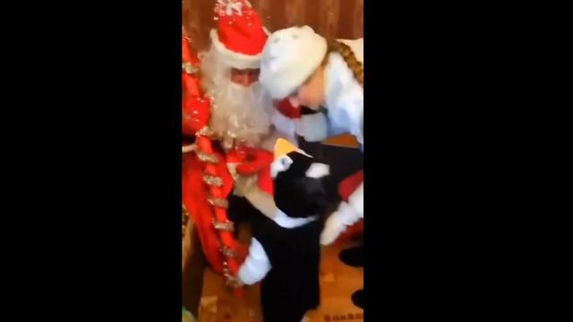 дед Мороз  ##### мои подарки