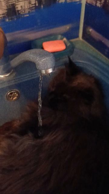 0a55388af7df46f272b0e55602172c78