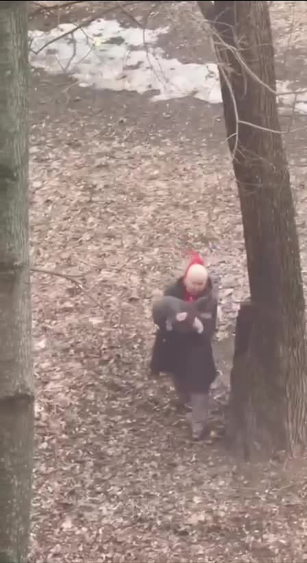 #Милые #видео #животные