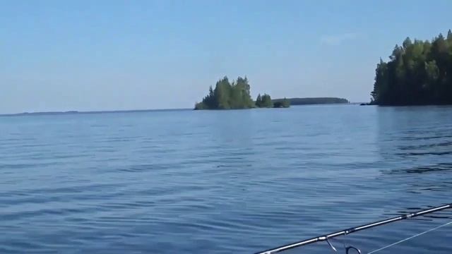 По Выгозеру на рыбалку 2025