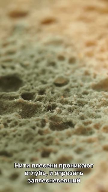 ХЛЕБ в холодильнике — ОШИБКА! Вот как правильно  #здоровье #рецепт #shorts