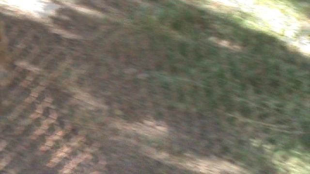 25)Б ПАРК ПОБЕДЫ ЗООПАРК