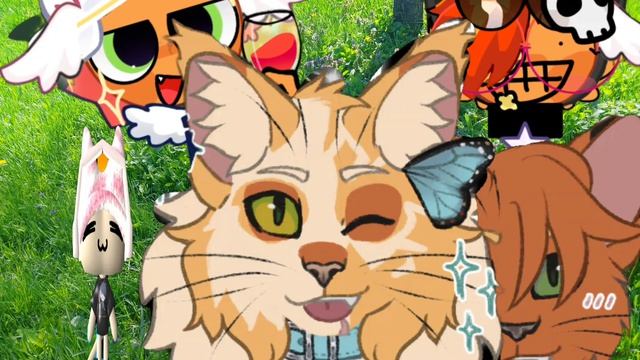 Ну допустим Я,Огнезвёзд и наше племя сзади.Ищу клан против хэйт малолетников.