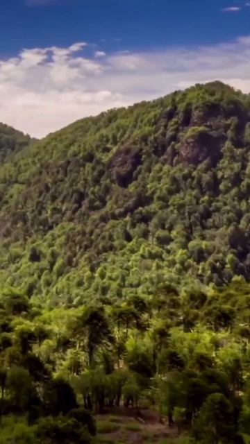 Слушай сердце своё